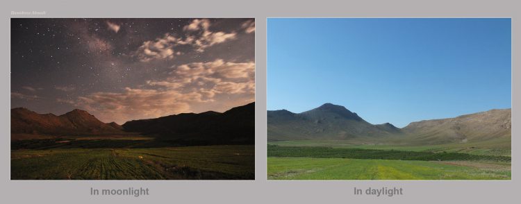 A Different View of Day and Night