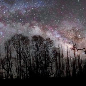 Night of Dreams