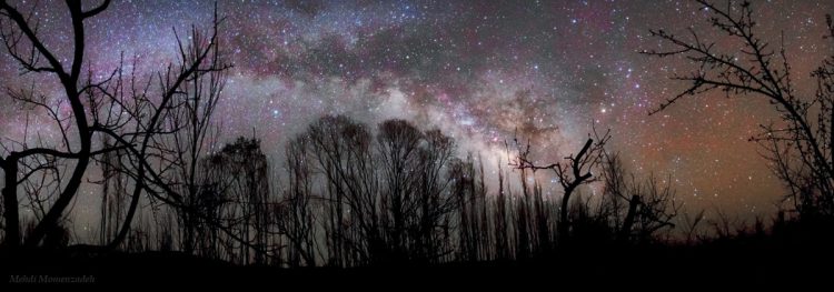 Night of Dreams