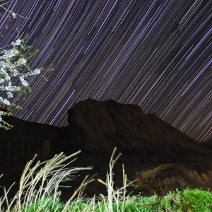 Spring of Alamut