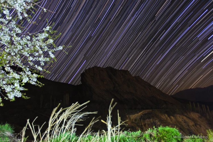 Spring of Alamut
