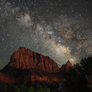 The Watchman