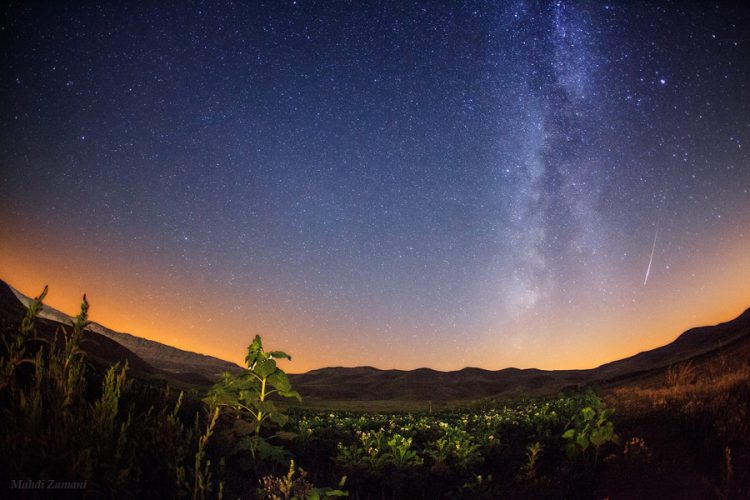 Perseid Meteor