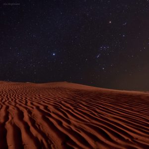 The Hunter in Desert