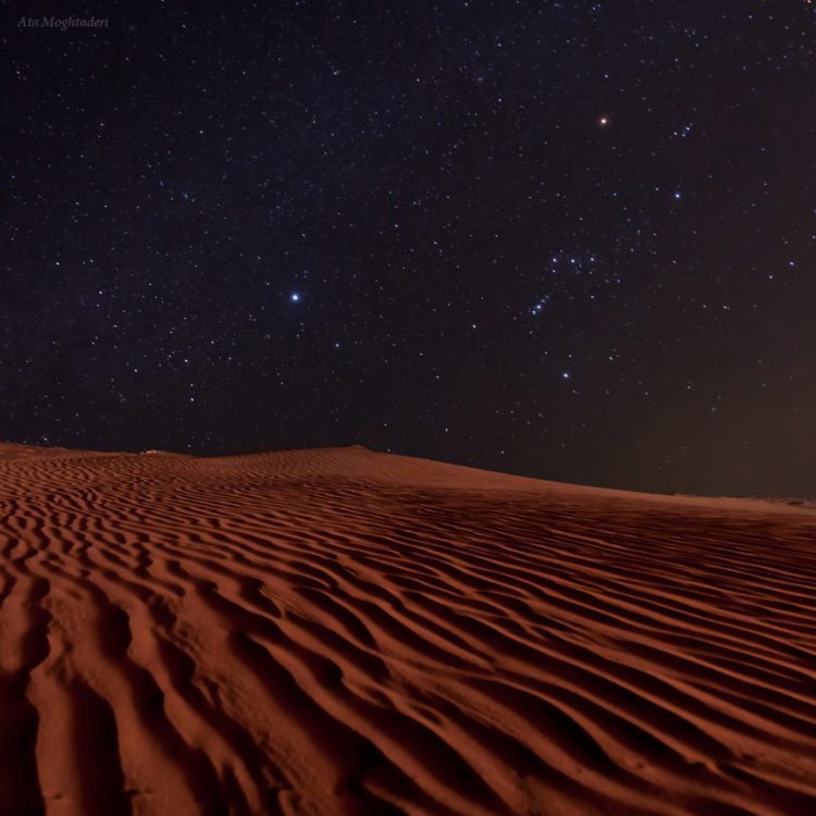 The Hunter in Desert