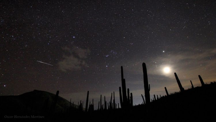Orion vs. Scorpion