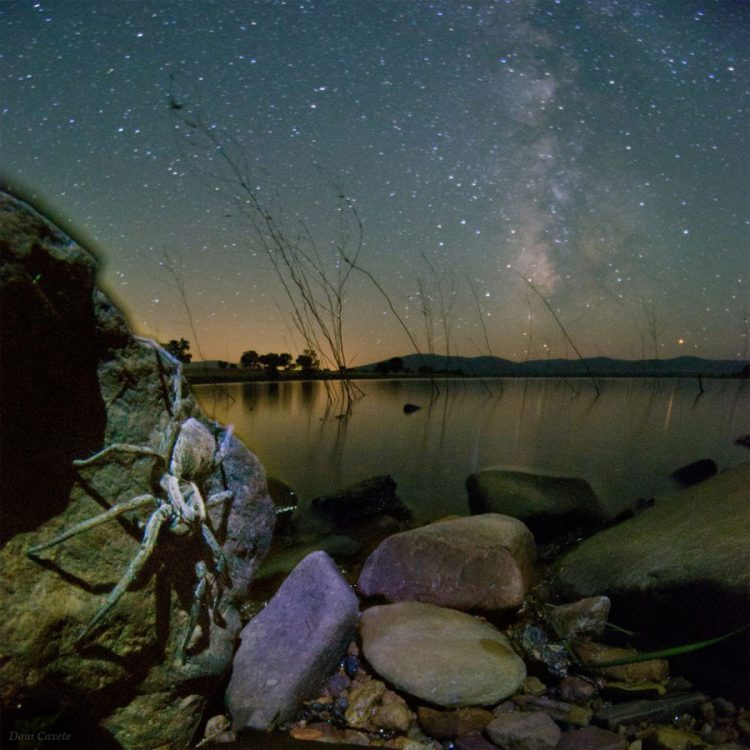 Spider and Milky Way