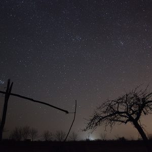 The Puszta at Night