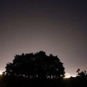 Light Pollution