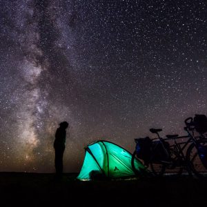 Gobi Nights