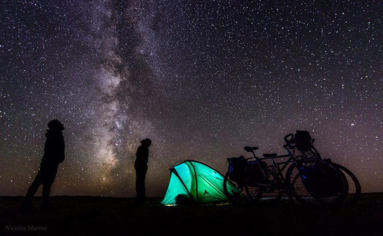 Gobi Nights