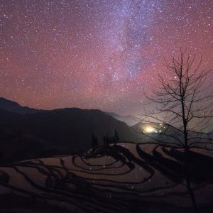Terraces with Star