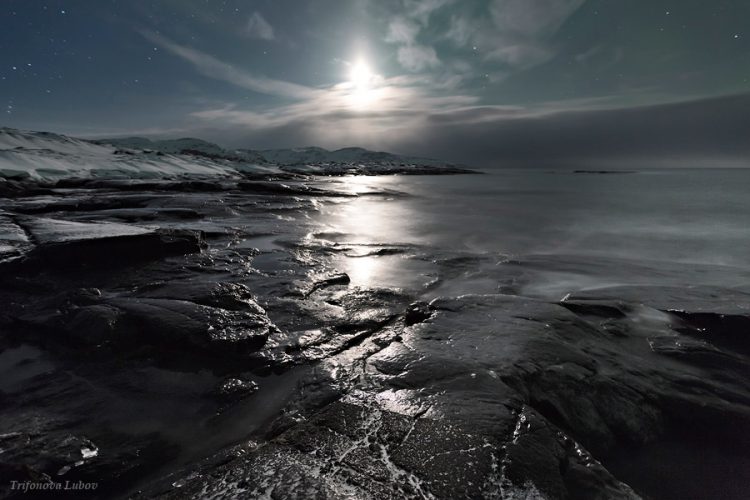 The Moon and the Ocean