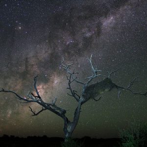 Weavers of the Milky Way