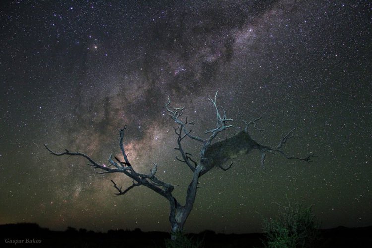 Weavers of the Milky Way