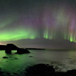 Wild Auroras