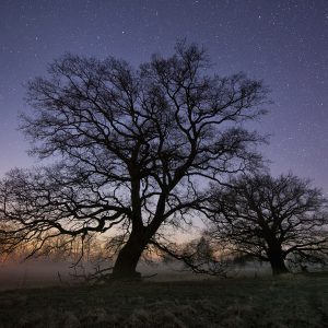 Moonset over the Elbevalley