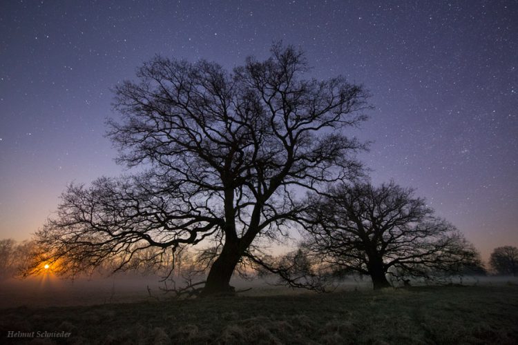 Moonset over the Elbevalley