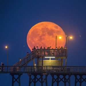 Coming out to See the Moon