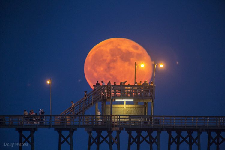 Coming out to See the Moon