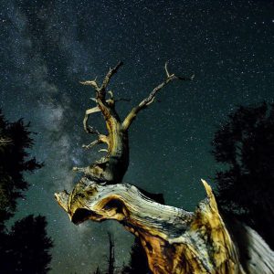 Touch The Sky