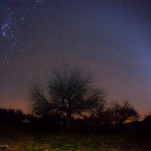 Zodiacal Light and Orion