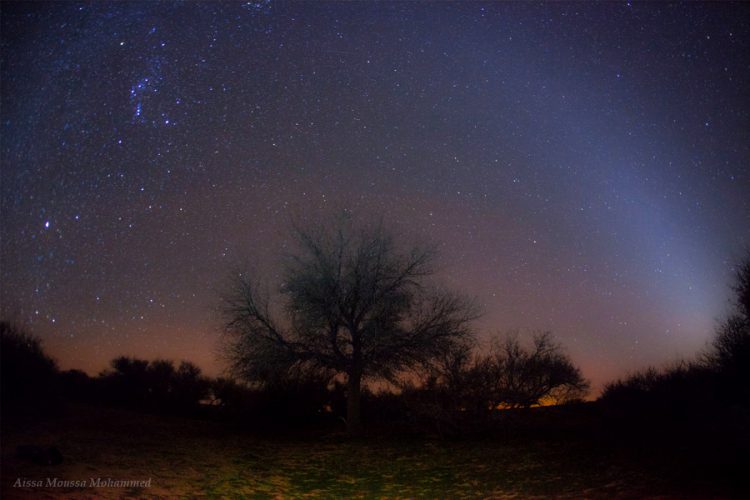 Zodiacal Light and Orion