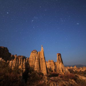 A Moonlit Night at Soil Forest