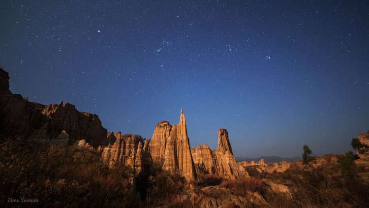 A Moonlit Night at Soil Forest