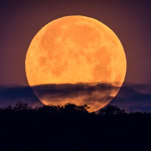 Golden Supermoon