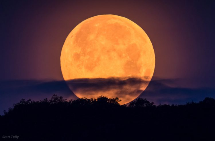 Golden Supermoon