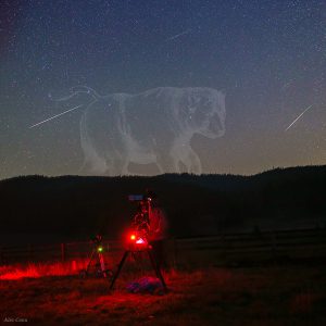 Perseids Around the Big Bear