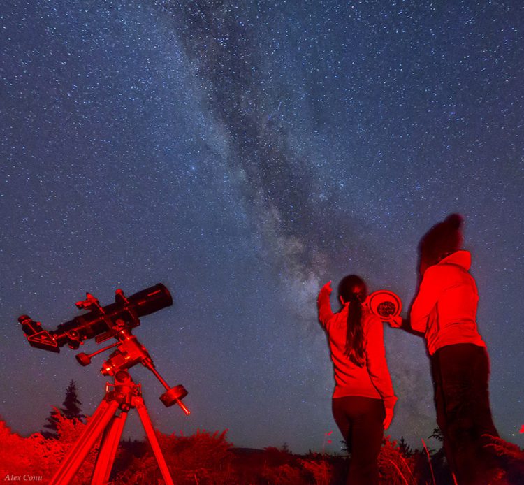 Watching the Night Sky