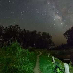 Path to the Milky Way