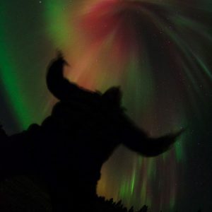 Wonderful Aurora