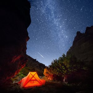 The Night Campers