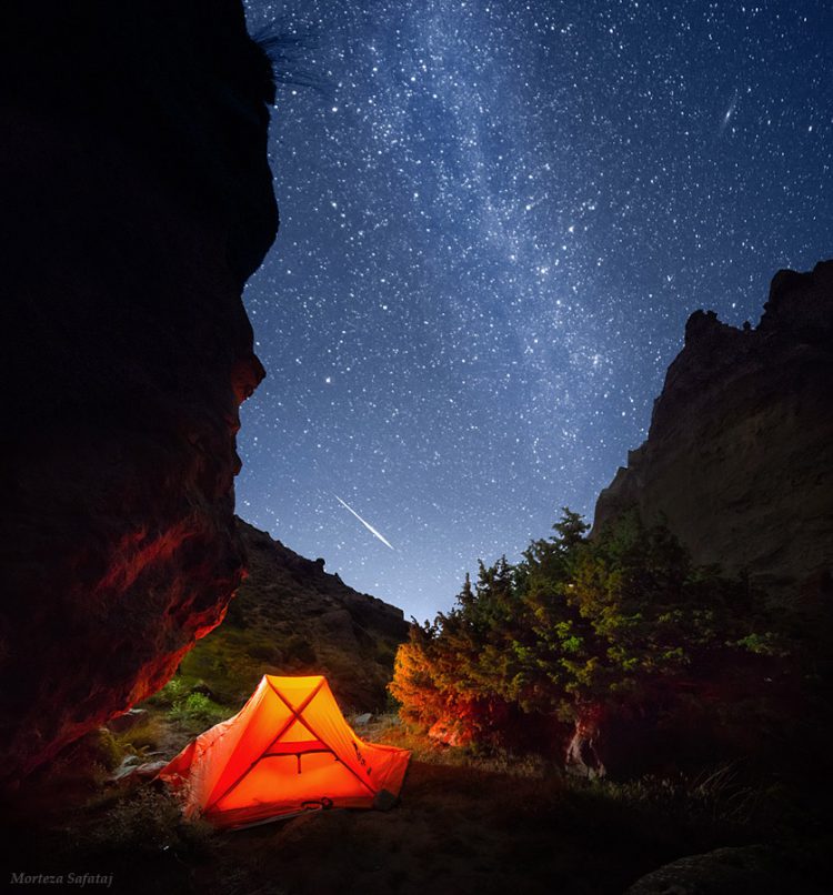 The Night Campers