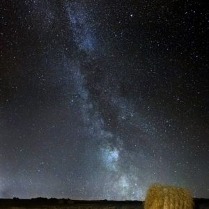 Night Field
