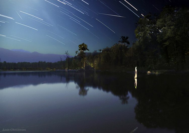 Perseids over a Lake