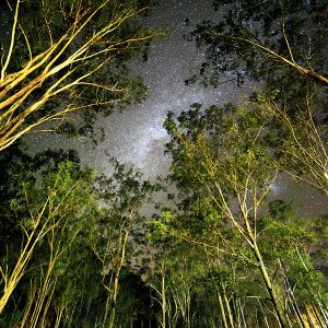 Flanagan Reserve
