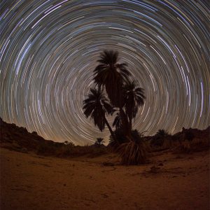 Desert Startrails