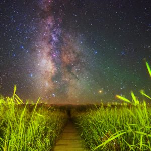 Reedy Milky Way