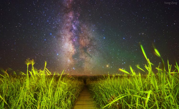 Reedy Milky Way
