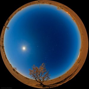 Moonlit Night at Desert