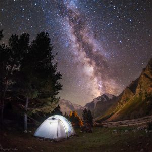 Night under the Starry Sky