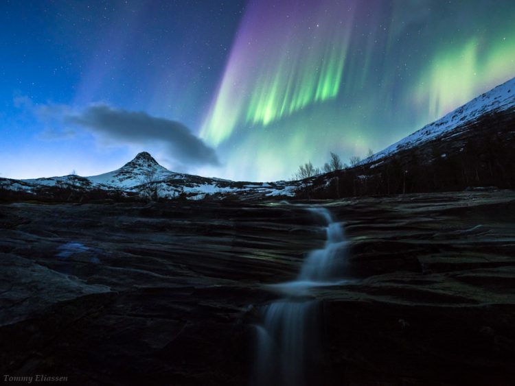 Dancing in the Twilight