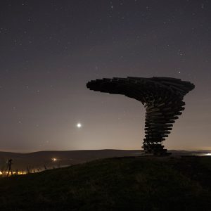 The Singing Ringing Tree