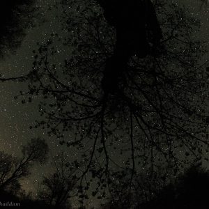 Sleeping Without Light Pollution