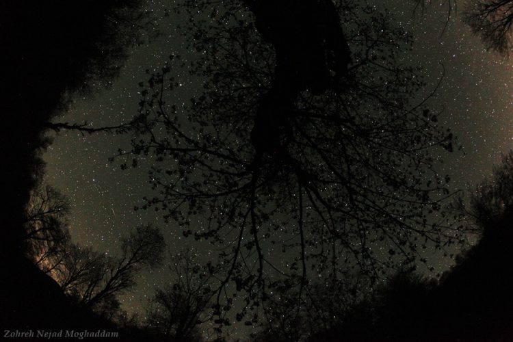 Sleeping Without Light Pollution