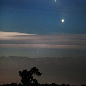 Triple Conjunction in Sequoia Park